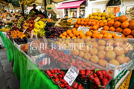 信用卡逾期吧 n報告(怎么寫信用卡逾期情況說明)