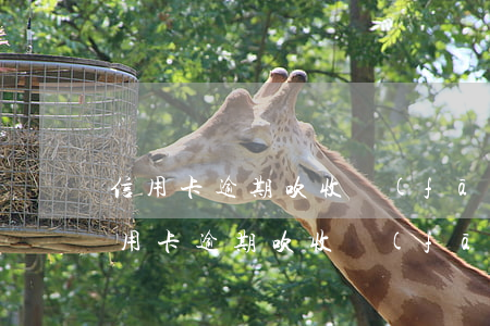 信用卡逾期吹收發(fā)信息子女照片(信用卡逾期吹收發(fā)信息子女照片)