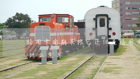 信用卡逾期呆帐已还但是(信用卡逾期呆账是什么意思)
