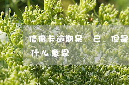 信用卡逾期呆帳已還但是(信用卡逾期呆賬是什么意思)