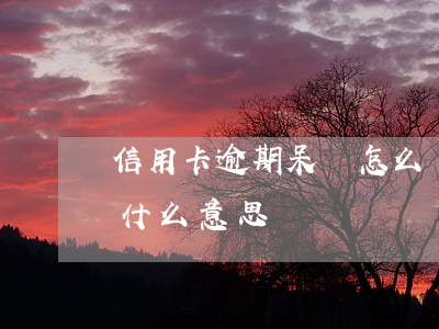 信用卡逾期呆帳怎么處理(信用卡逾期呆賬是什么意思)