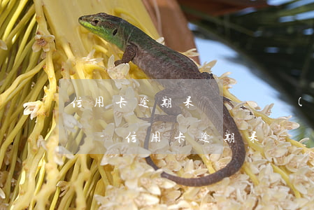 信用卡逾期呆帳還會產(chǎn)生利息嗎-信用卡逾期呆帳還會產(chǎn)生利息嗎知乎