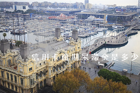 信用卡逾期呆滯金是多少(信用卡 逾期 罰息)