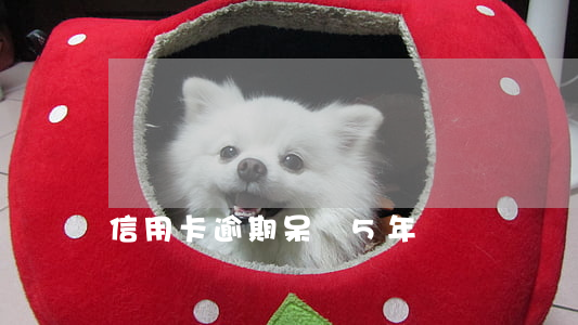信用卡逾期呆賬5年