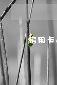 信用卡逾期呆賬怎么查