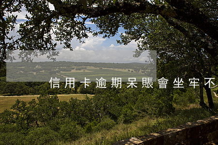 信用卡逾期呆賬會坐牢不