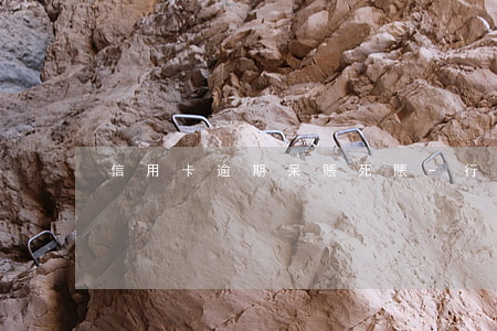 信用卡逾期呆賬死賬-行用卡呆帳