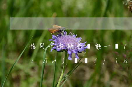 信用卡逾期呆賬能一點(diǎn)點(diǎn)還進(jìn)去嗎-信用卡逾期呆賬能一點(diǎn)點(diǎn)還進(jìn)去嗎知乎