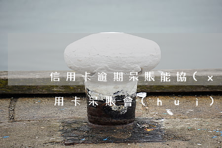 信用卡逾期呆賬能協(xié)商嗎(建行信用卡呆賬會(huì)同意協(xié)商還款嗎)
