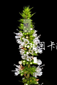信用卡逾期呆賬要起訴(信用卡逾期呆賬要起訴)
