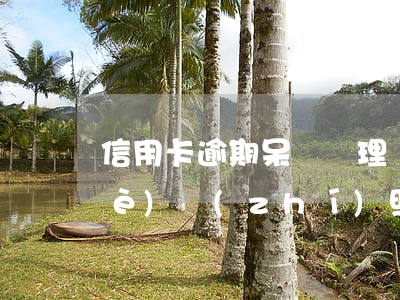 信用卡逾期呆賬辦理營(yíng)業(yè)執(zhí)照(呆賬能辦理信用卡嗎)