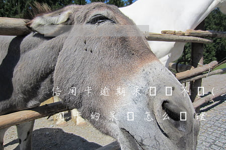 信用卡逾期呆賬還不進(jìn)去錢(欠信用卡的呆賬怎么處理)
