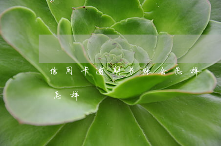 信用卡逾期呆账会怎样-信用卡逾期呆账会怎样
