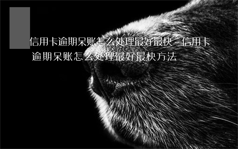 信用卡逾期呆账怎么处理最好最快-信用卡逾期呆账怎么处理最好最快方法