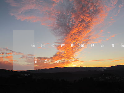信用卡逾期呆账还清 信用卡逾期呆账还清后怎么办
