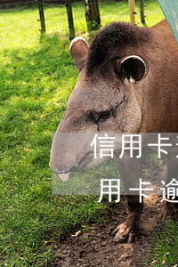 信用卡逾期告上法庭會(huì)坐牢嗎(信用卡逾期告上法庭會(huì)坐牢嗎)