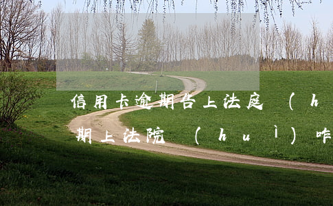 信用卡逾期告上法庭會(huì)怎么樣(逾期上法院會(huì)咋樣)