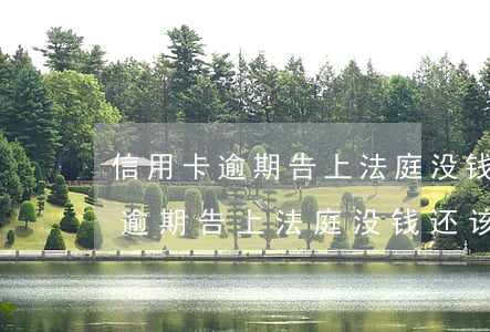 信用卡逾期告上法庭没钱还该咋办-信用卡逾期告上法庭没钱还该咋办呢
