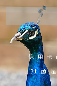 信用卡逾期告知函是真的嗎-信用卡逾期告知函是真的嗎還是假的