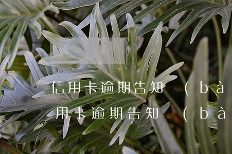 信用卡逾期告知報(bào)案了怎么辦（信用卡逾期告知報(bào)案了）