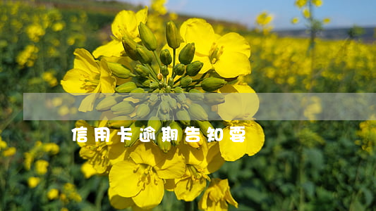 信用卡逾期告知要銷戶