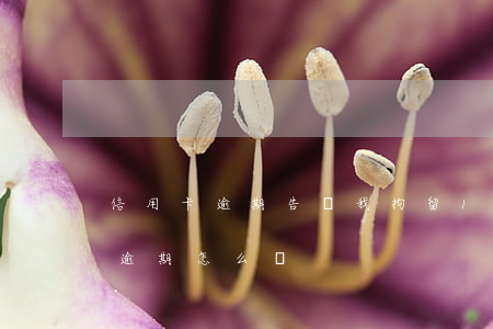 信用卡逾期告訴我拘留15天(被拘留信用卡逾期怎么辦)