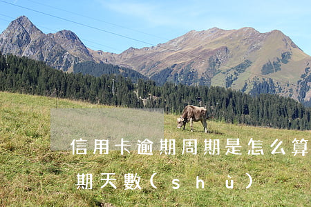 信用卡逾期周期是怎么算的(怎么算信用卡逾期天數(shù))