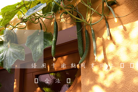 信用卡逾期周末回上門嗎(信用卡逾期上門走訪合法嗎)