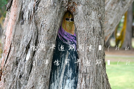 信用卡逾期周末會(huì)上門嗎(2020年信用卡逾期會(huì)上門嗎)