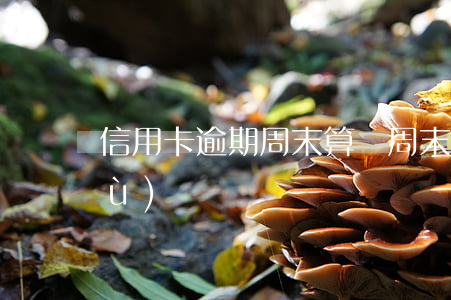 信用卡逾期周末算嗎(周末算逾期天數(shù)嗎)