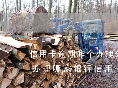 信用卡逾期咋个办理分期(分期乐逾期还可以办理哪家银行信用卡)