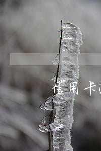 信用卡逾期咋樣還款快(“信用卡逾期”)