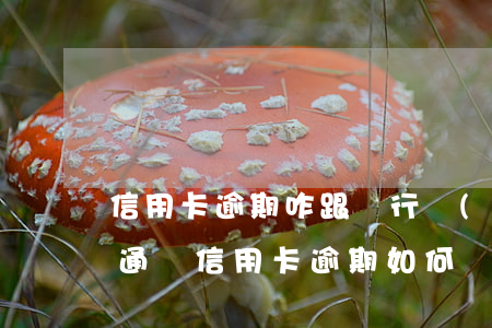 信用卡逾期咋跟銀行協(xié)商還款(交通銀信用卡逾期如何協(xié)商還款?)