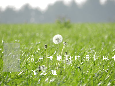 信用卡逾期咋還(信用卡逾期咋還不了60歲咋處理)