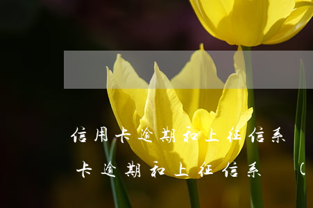 信用卡逾期和上征信系統(tǒng)(信用卡逾期和上征信系統(tǒng))
