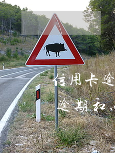 信用卡逾期和以貸養(yǎng)貸(信用卡逾期和以貸養(yǎng)貸)