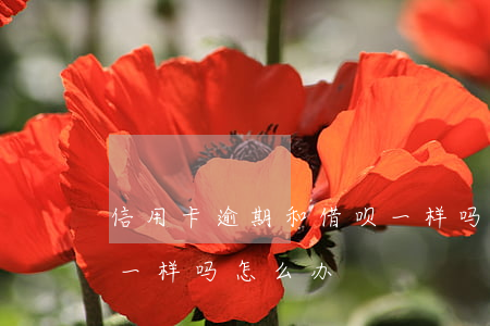 信用卡逾期和借呗一样吗 信用卡逾期和借呗一样吗怎么办