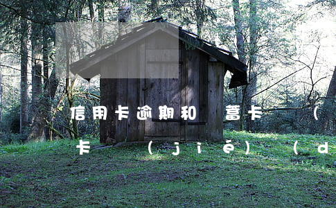 信用卡逾期和儲蓄卡凍結(jié)了(銀行卡凍結(jié)導(dǎo)致信用卡逾期)