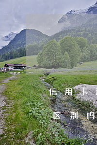 信用卡逾期和其它卡(信用卡逾期和其它卡有区别吗)