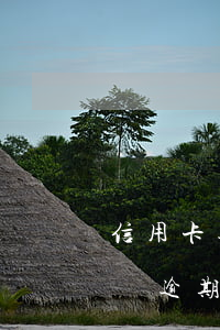 信用卡逾期和別人匯款有關(guān)系嗎(逾期會(huì)影響其他信用卡嗎)