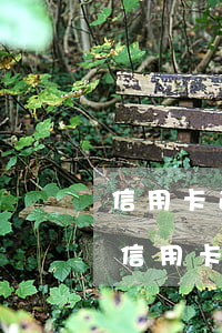 信用卡逾期和外包的協(xié)商有用嗎(信用卡逾期和外包的協(xié)商有用嗎)