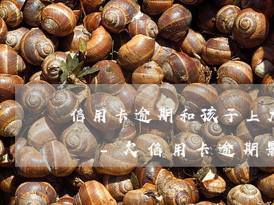 信用卡逾期和孩子上大學(xué)有影響嗎-欠信用卡逾期影響孩子上學(xué)嗎
