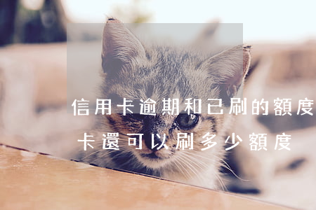 信用卡逾期和已刷的額度怎么算(怎么查信用卡還可以刷多少額度)