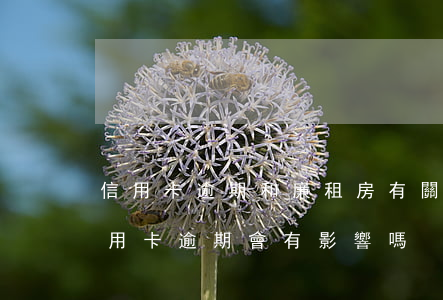 信用卡逾期和廉租房有關系嗎(如果有房貸信用卡逾期會有影響嗎)