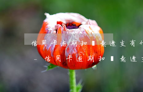 信用卡逾期和惡意透支有什么區(qū)別-信用卡逾期和惡意透支有什么區(qū)別呢