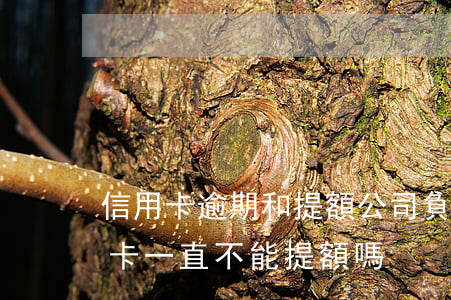信用卡逾期和提額公司(負(fù)債高信用卡一直不能提額嗎)