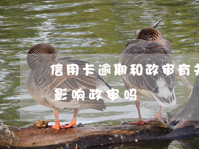 信用卡逾期和政审有关吗(配偶有信用卡逾期影响政审吗)