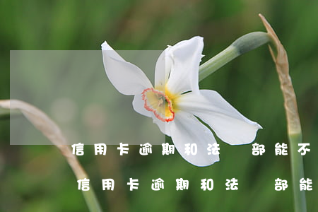 信用卡逾期和法務部能不能協(xié)商(信用卡逾期和法務部能不能協(xié)商)