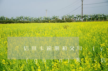 信用卡逾期和父母養(yǎng)老金有關(guān)系嗎-信用卡逾期和父母養(yǎng)老金有關(guān)系嗎怎么辦