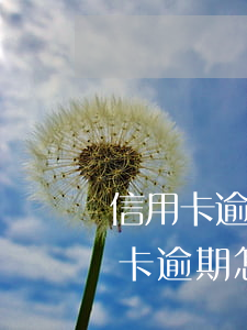 信用卡逾期和誰協(xié)商(信用社信用卡逾期怎么協(xié)商)